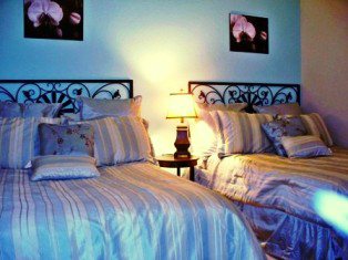 http://www.vistacayinn.com/custimages/KingsRansom26Fulls.JPG