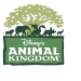 disney animal kingdom