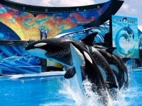 oracs seaworld orlando